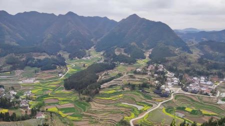 微信图片_20250226153013