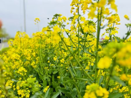 微信图片_20250314104816