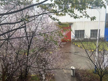 微信图片_20250325105337