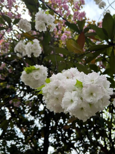 微信图片_20250325105347