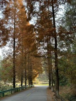 微信图片_20260112095306